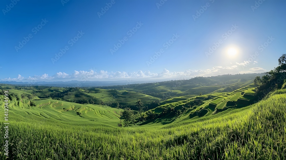 Obraz premium harmonious agricultural landscapes