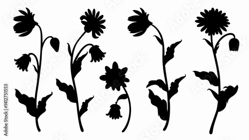 set chamomile silhouette vector on white background