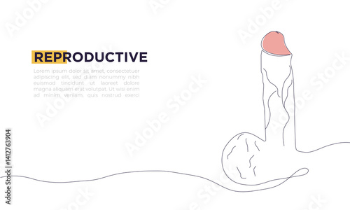 Continuous line drawing of simple Vector icon for penis