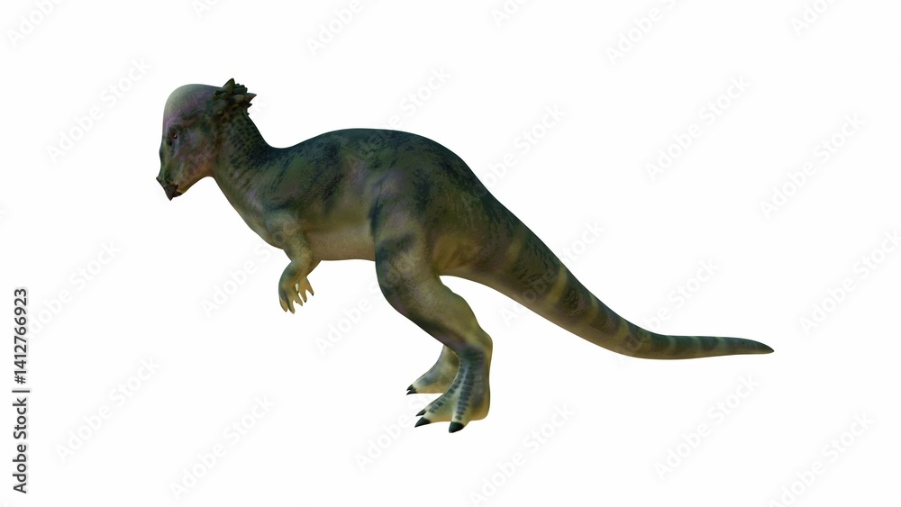 Obraz premium Detailed 3D Illustration of a Pachycephalosaurus on Isolated Background