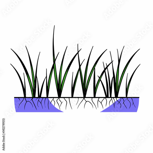 Realistic grass border with soil cross-section and subtle root details