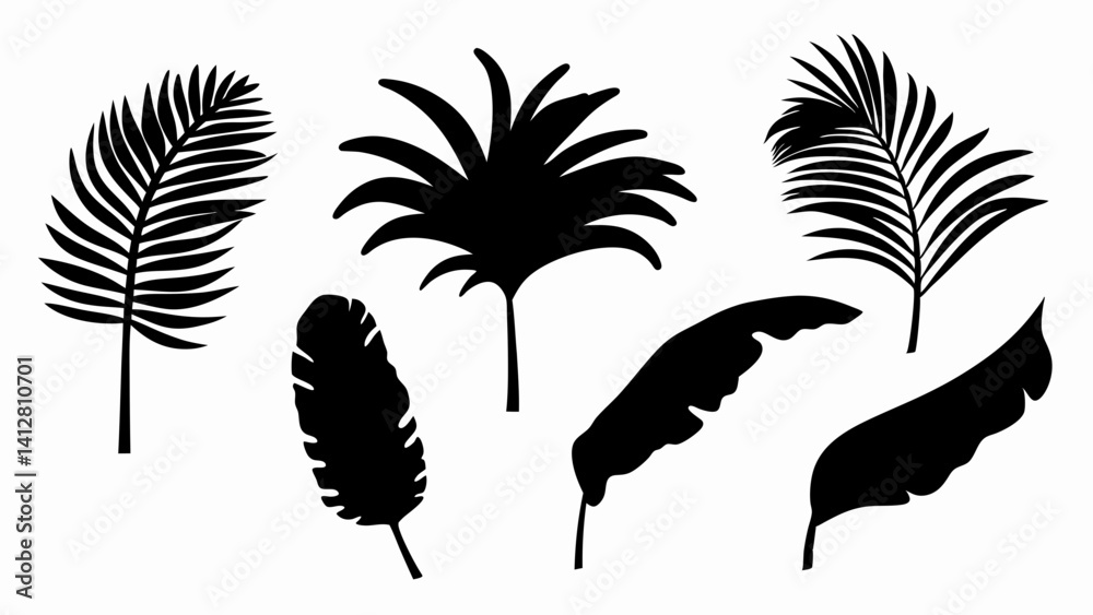 Obraz premium set palm leaf silhouette vector on white background