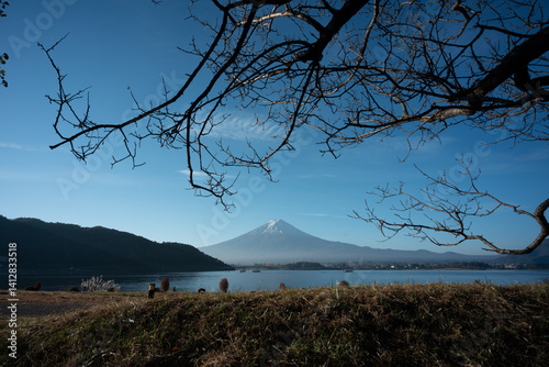 Traveling in Japan, Woman T...