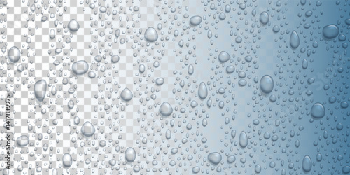 Vector Water drops on glass. Rain drops on transparent background