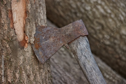 Obraz na płótnie Ax in a log after cutting the bark while chopping wood w salonie
