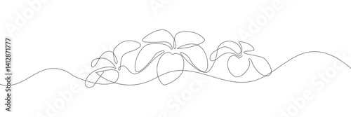 One continuous line drawing of Plumeria flower. Frangipani blossom with petals for floral tattoo in simple linear style. Plant pattern for wedding in Editable stroke. vector illustration. EPS 10 .  
