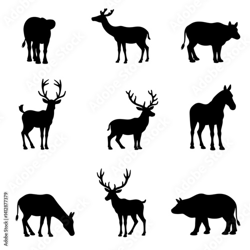 Photography wild animals silhouettes