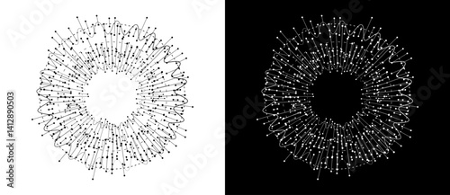 Abstract background with waves, lines and dots in circle. Art design BIG DATA concept. Black lines on a white background and white lines on the black side.