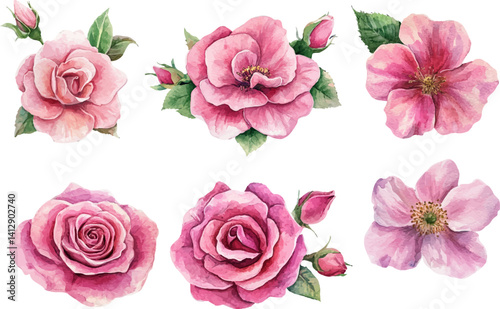 set of pink roses