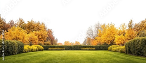 Autumnal Garden Landscape