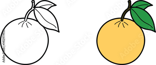 Orange Fruit With Leaves Illustration In Color And Black And White Version