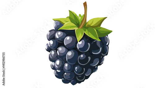 blackberry isolated on white vector icon design