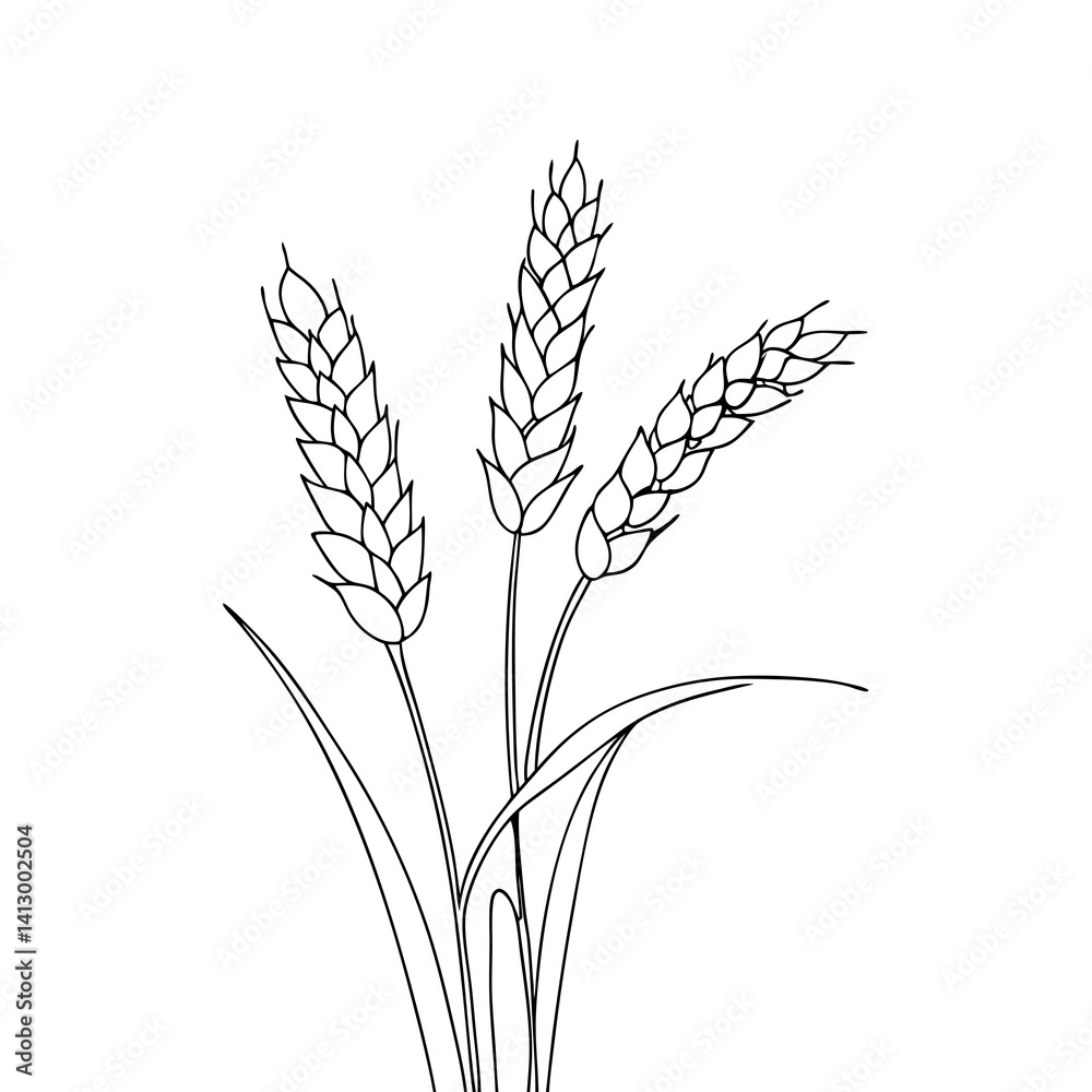 Fototapeta premium wheat linear drawing on transparent background