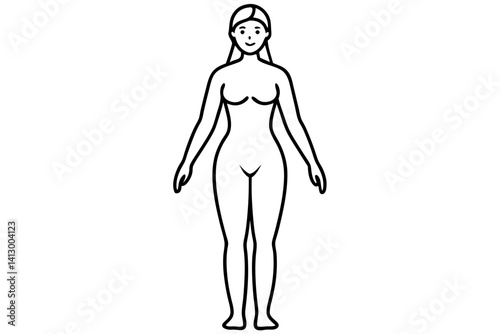 Minimalist Female Body Line Drawing – Adult Woman Anatomy Vector

