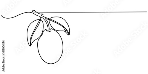 Vector illustration of Two quinces one cut in half showing seeds and core black and white drawing For children to learn to color according to the picture.                                              