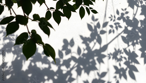 Leaves shadow and tree branch background.  Natural leaves tree branch dark shadow and light from sunlight dappled on white concrete wall texture, comic art. with white shades