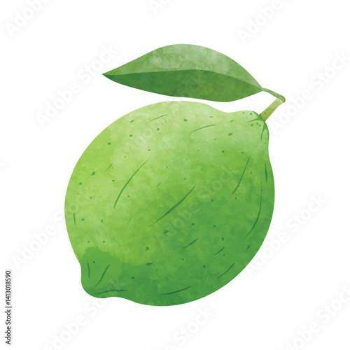 Lemon fruit Design elements. watercolour style vector illustration