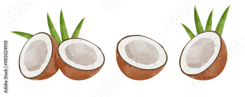 Coconut fruit Design elements. watercolour style vector illustration.