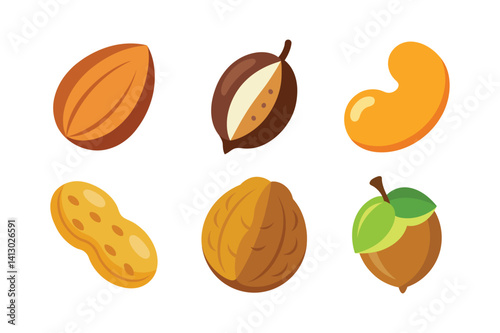 A set of nut colorful vector art illustration