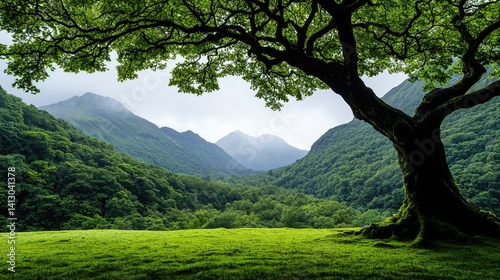 Wallpaper Mural Serene mountain landscape with majestic tree peaceful nature scene tranquil green meadow Torontodigital.ca