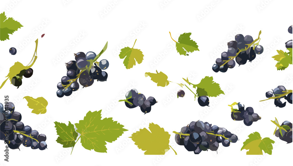 black currant falling vector design