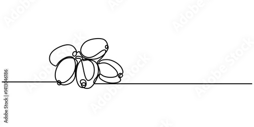 loquat fruit hand drawn illustration, ripe loquats continuous one line drawing, Fruit. Hand drawn vector isolated sketch, Loquat whole fruit and half sliced isolated on white background, minimalist.