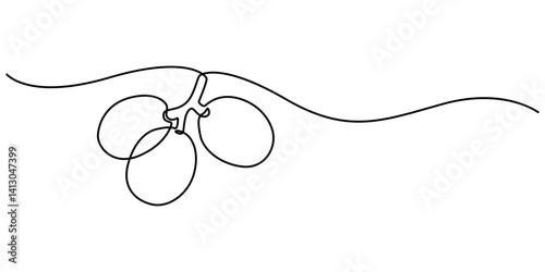 loquat fruit hand drawn illustration, ripe loquats continuous one line drawing, Fruit. Hand drawn vector isolated sketch, Loquat whole fruit and half sliced isolated on white background, minimalist.