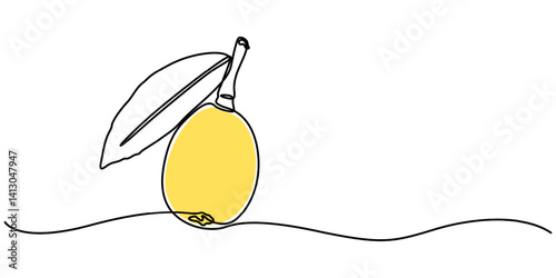 loquat fruit hand drawn illustration, ripe loquats continuous one line drawing, Fruit. Hand drawn vector isolated sketch, Loquat whole fruit and half sliced isolated on white background, minimalist.