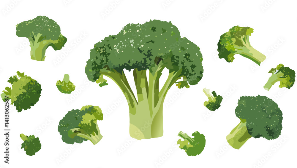 fresh vegetables broccoli falling isolated on white vector design