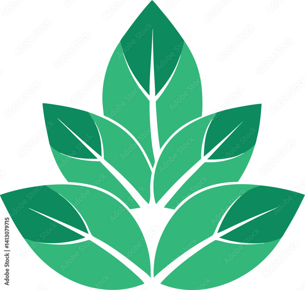 Naklejka premium green leaves on white background