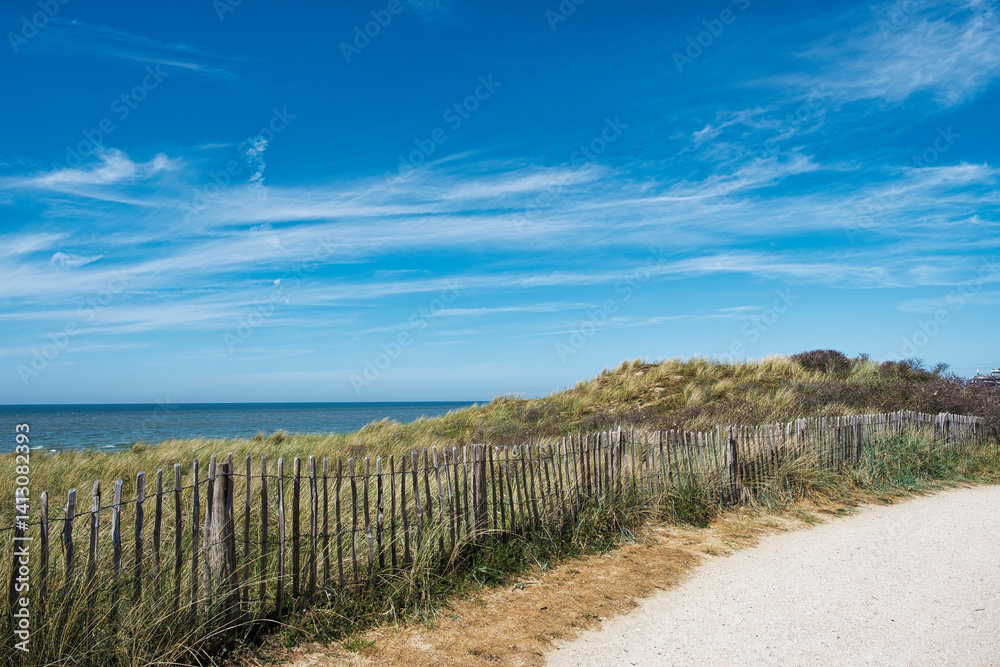 Hiking through the dune landscape of Egmond aan Zee on the North Sea coast in the Netherlands Hiking through the dune landscape of Egmond aan Zee on the North Sea coast in the Netherlands