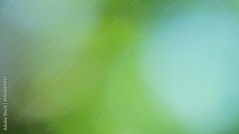 abstract green background.Color gradient animation. Moving soft blurred background. The colors vary with position, producing smooth color transitions. Abstract nature background with sun flare. abstract green background.Color gradient animation. Moving soft blurred background. The colors vary with position, producing smooth color transitions. Abstract nature background with sun flare.