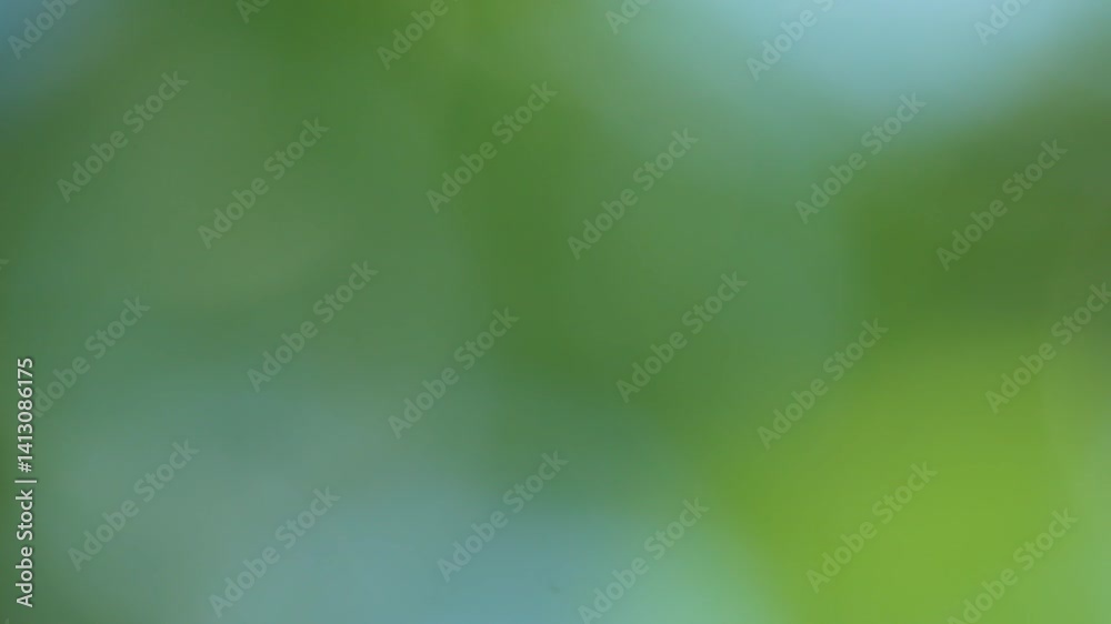 abstract green background.Color gradient animation. Moving soft blurred background. The colors vary with position, producing smooth color transitions. Abstract nature background with sun flare. abstract green background.Color gradient animation. Moving soft blurred background. The colors vary with position, producing smooth color transitions. Abstract nature background with sun flare.