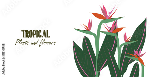 Template with tropical floral bouquet of Strelitzia with jungle leaves on the side and space for content. Concept for web banners, postcards, ads promo. Vector illustration in flat modern style