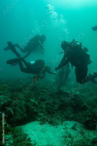 Wallpaper Mural Bounty Beach 2 Torontodigital.ca