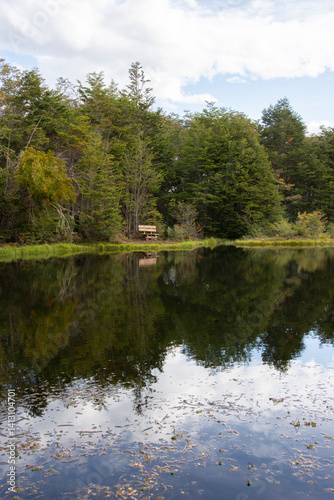 laguna entre montañas y bosque de la patagonia argentina