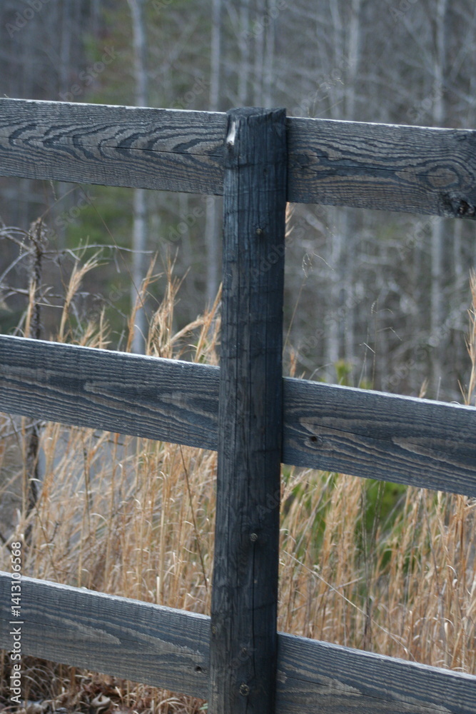 Fototapeta premium old wooden fence