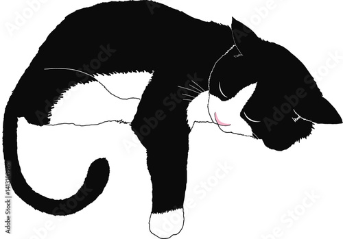 A Cat Sleeping with pillow silhouette vector