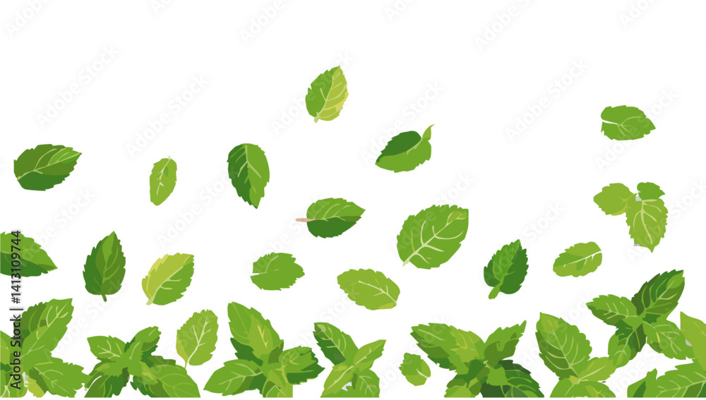 fresh green peppermint falling vector design