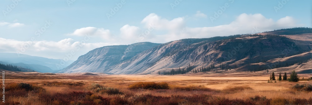 A vast, empty plain with a few trees scattered around