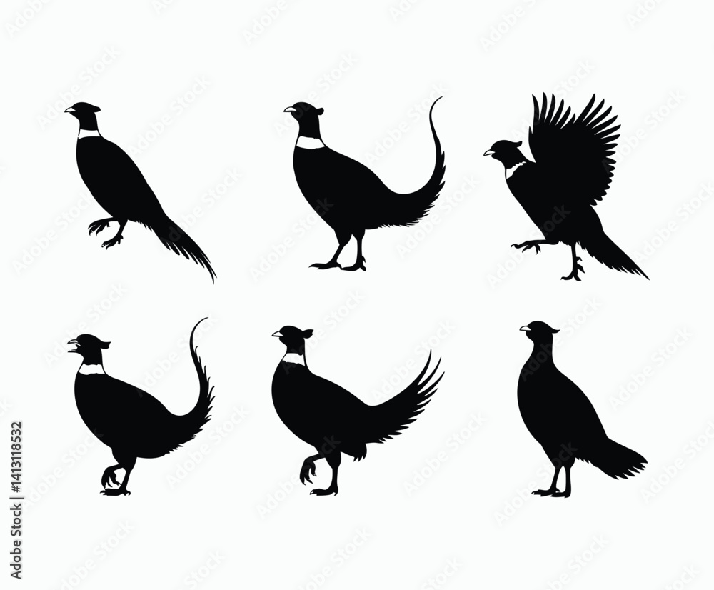 Elegant Minimal Ring Necked Pheasant Silhouette Isolated Template Elegant Minimal Ring Necked Pheasant Silhouette Isolated Template
