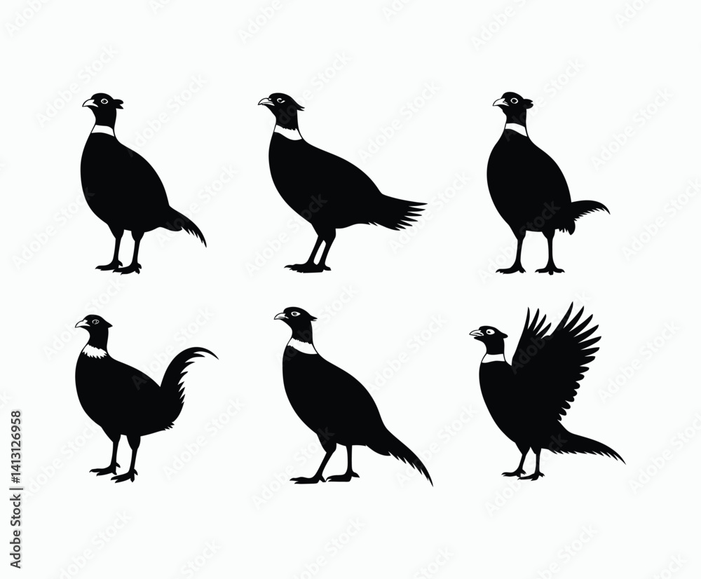 Fototapeta premium Wild and Free Ring Necked Pheasant Silhouette Isolated Template