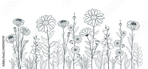 Vector illustration of beautiful silhouettes of flowers and plants in flat style. Cartoon scene of field, meadow flowers and herbs: daisies, cornflowers, bluebells, chicory isolated on a white