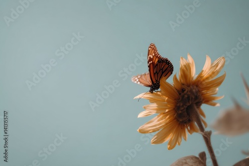 A monarch butterfly gracefully perched on a sunflower, captured under a bright blue sky.