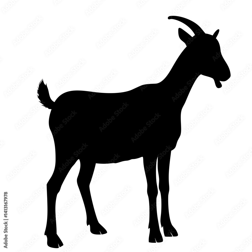 Goat isolated on white background Goat isolated on white background