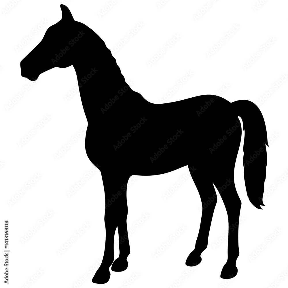 Obraz premium Horse isolated on white background