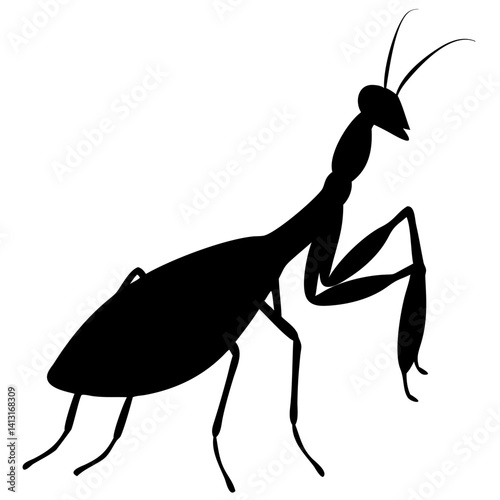 Mantis isolated on white background