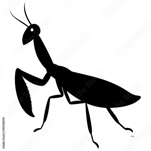 Mantis isolated on white background