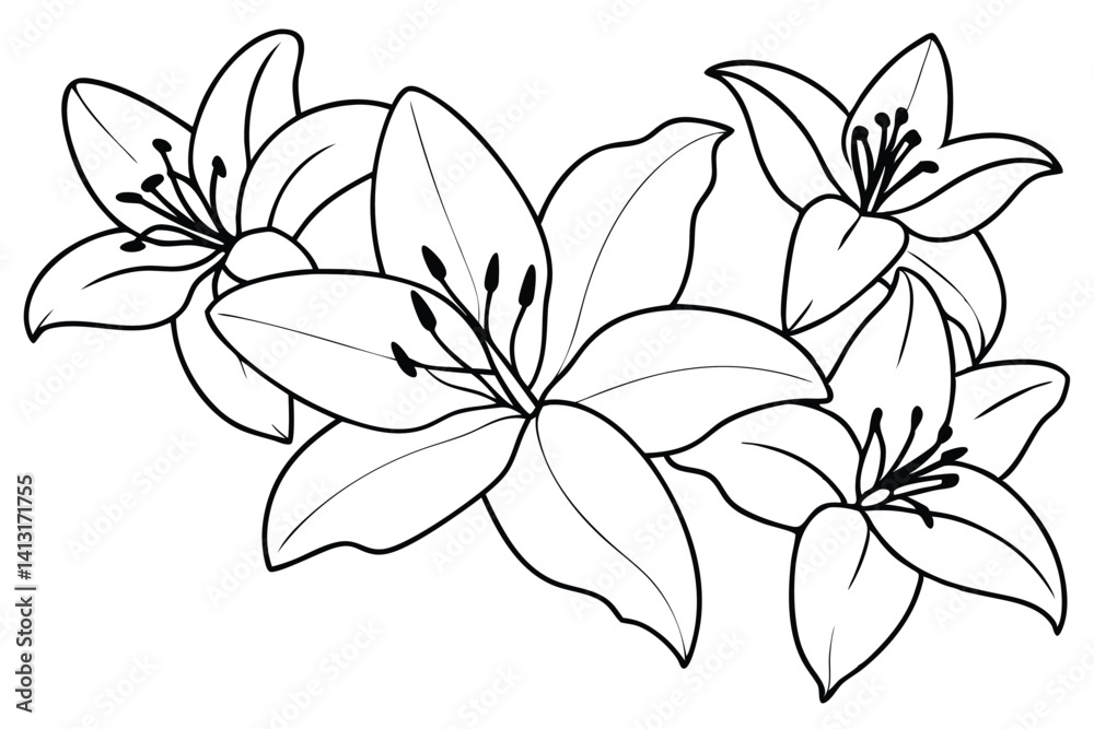Fototapeta premium lily blossom line drawing