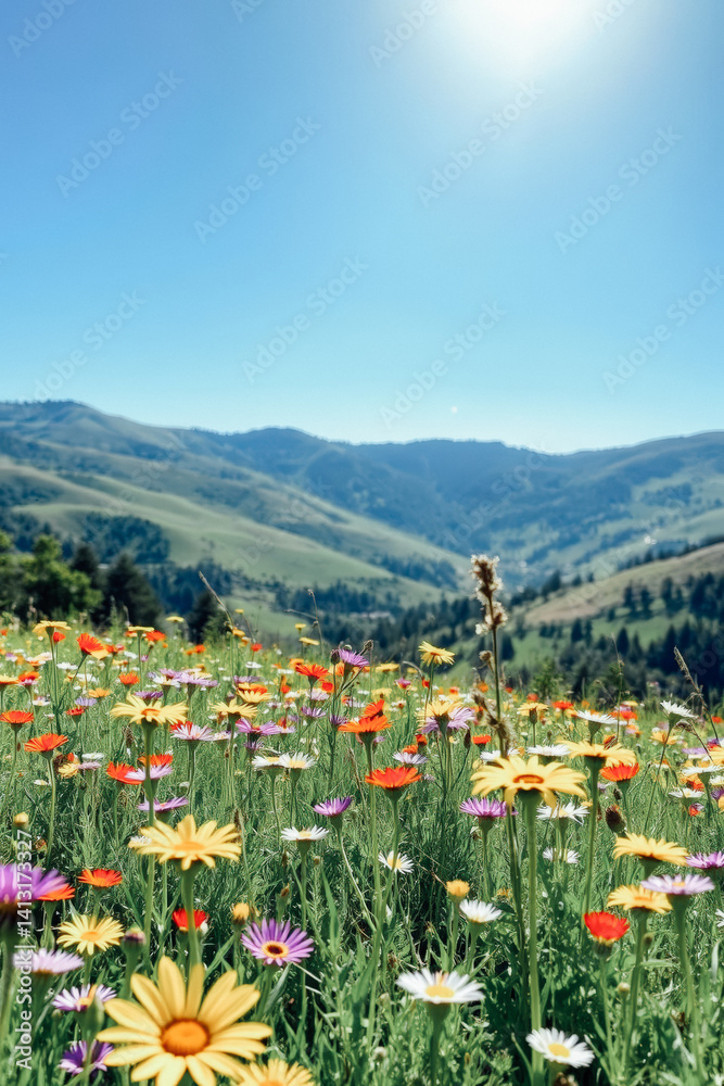 Vibrant Wildflower Meadow Against a Mountain Range